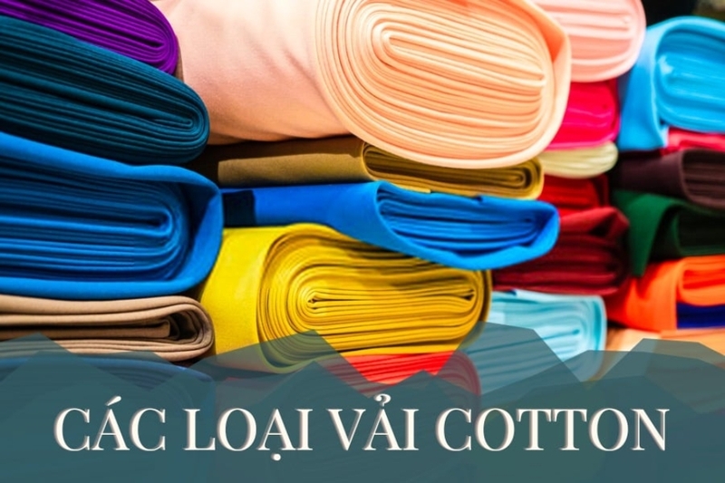 Vải cotton 100% (6)