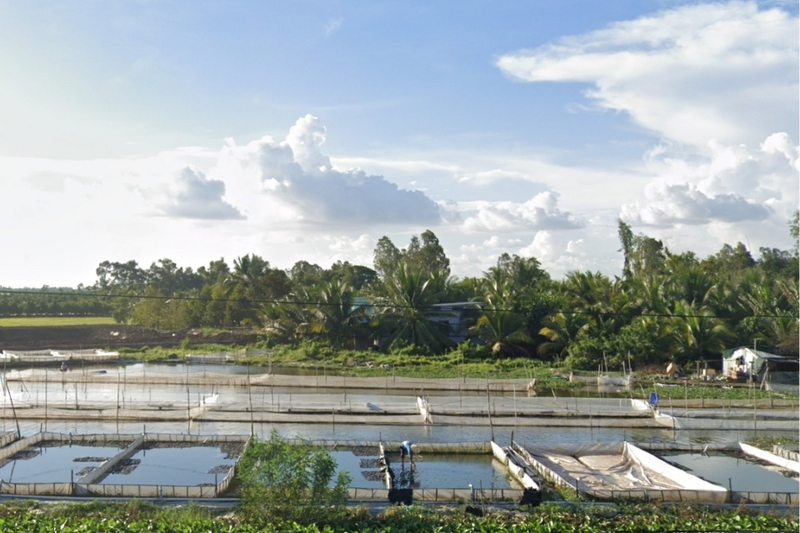 Xã Đốc Binh Kiều của Đồng Tháp (1)