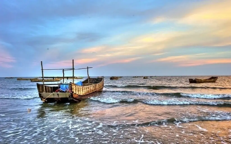 Trà Cổ (Quảng Ninh)