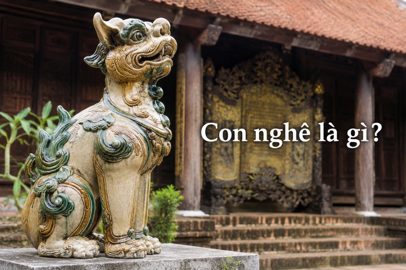 Tìm hiểu chung về con nghê