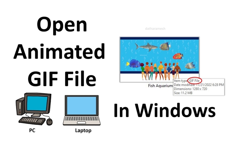 Hướng dẫn chi tiết cách xem ảnh Gif trên Windows (1)