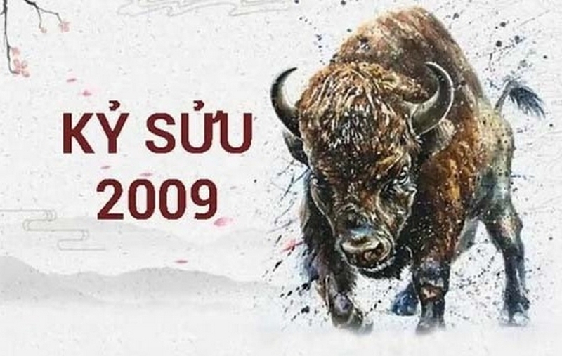 2k9 mấy tuổi ảnh 4