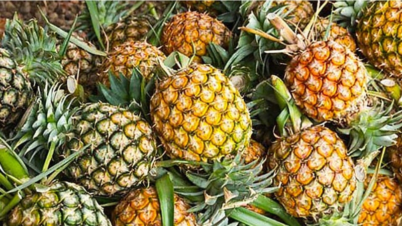 30 loại trái cây miền Nam 28