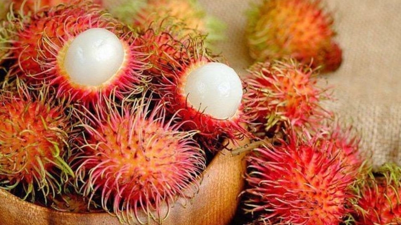 30 loại trái cây miền Nam 3