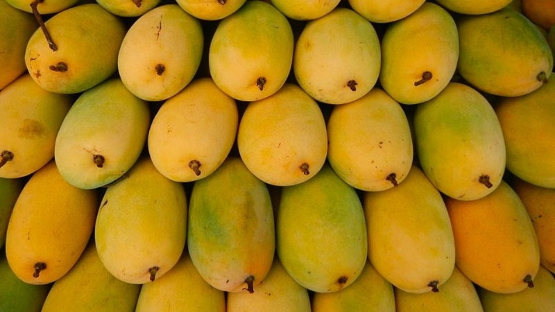 30 loại trái cây miền Nam 5