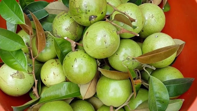30 loại trái cây miền Nam 9