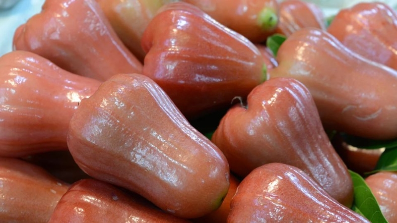 30 loại trái cây miền Nam 14