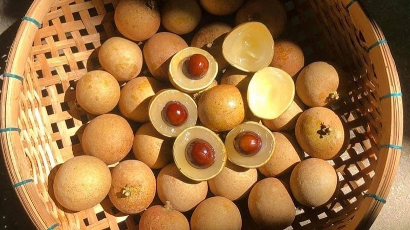 30 loại trái cây miền Nam 15