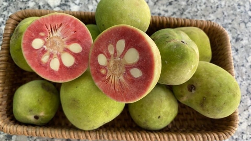 30 loại trái cây miền Nam 24