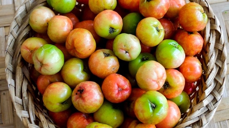 30 loại trái cây miền Nam 26