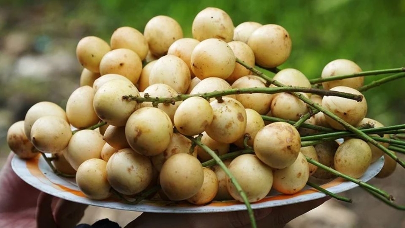 30 loại trái cây miền Nam 30