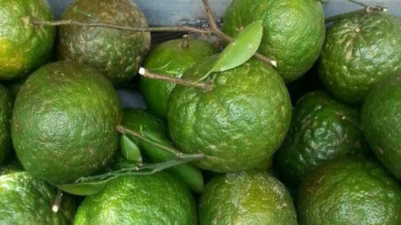 30 loại trái cây miền Nam 10