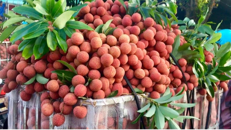 30 loại trái cây miền Nam 22