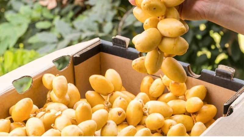 30 loại trái cây miền Nam 25