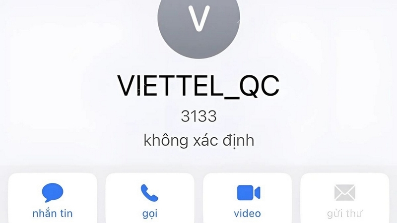 3133 là gì ảnh 1