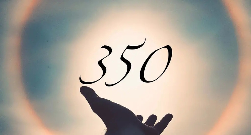 350 là gì (ảnh 4)