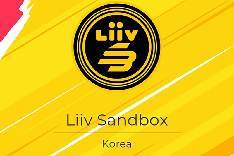 Từ Liiv SANDBOX đến BNK FearX