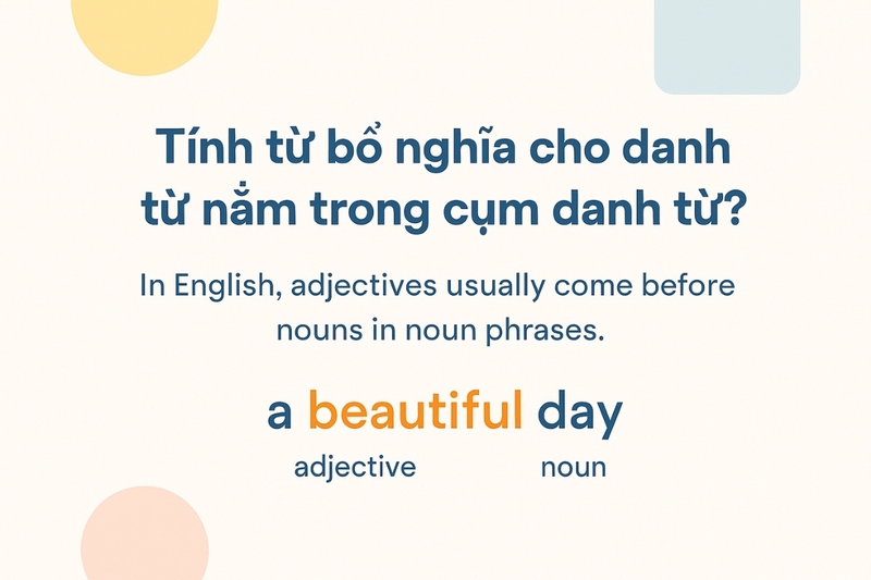 Tính từ bổ nghĩa cho danh từ nằm trong cụm danh từ