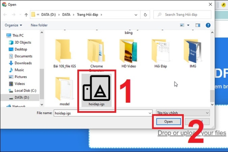 File IGS là gì (4)