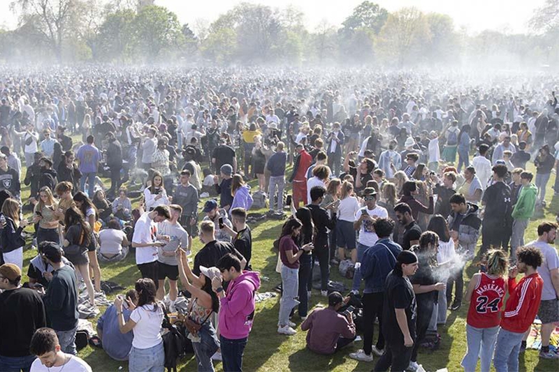 420 và ảnh hưởng văn hóa đại chúng