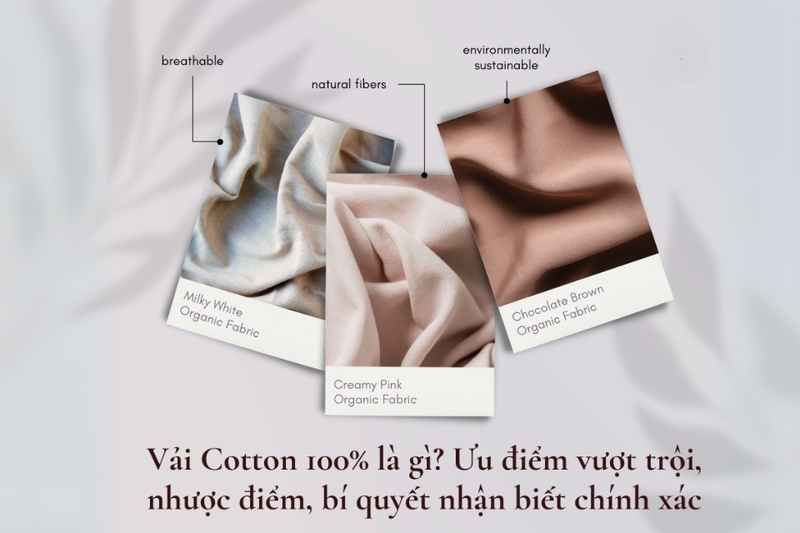 Vải cotton 100% (1)