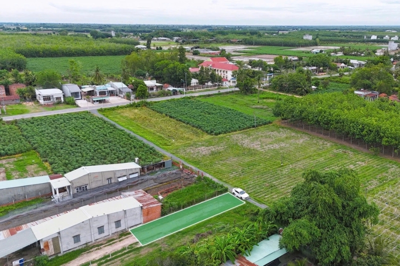 Nông nghiệp quy mô lớn