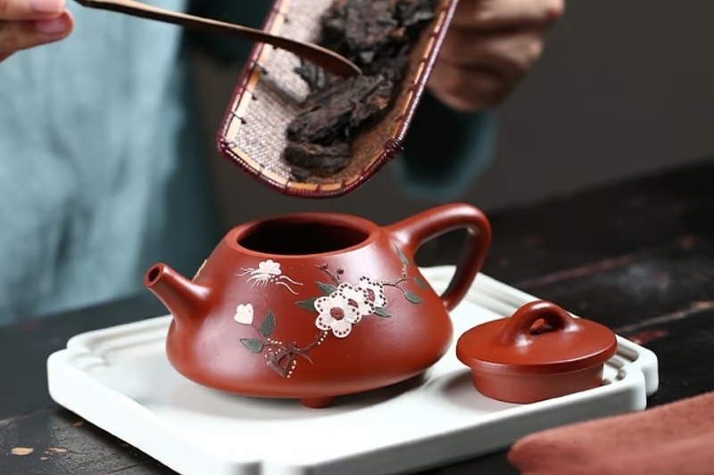 Hấp thụ tinh hoa của trà