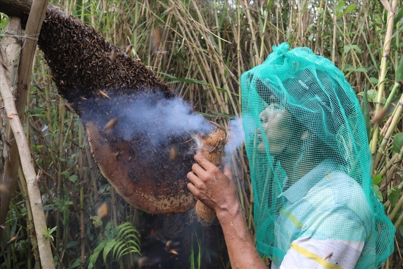 Xã U Minh của Cà Mau (2)