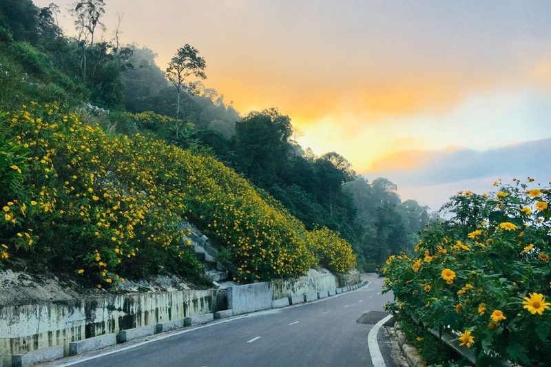 Ba Vì ở đâu (2)