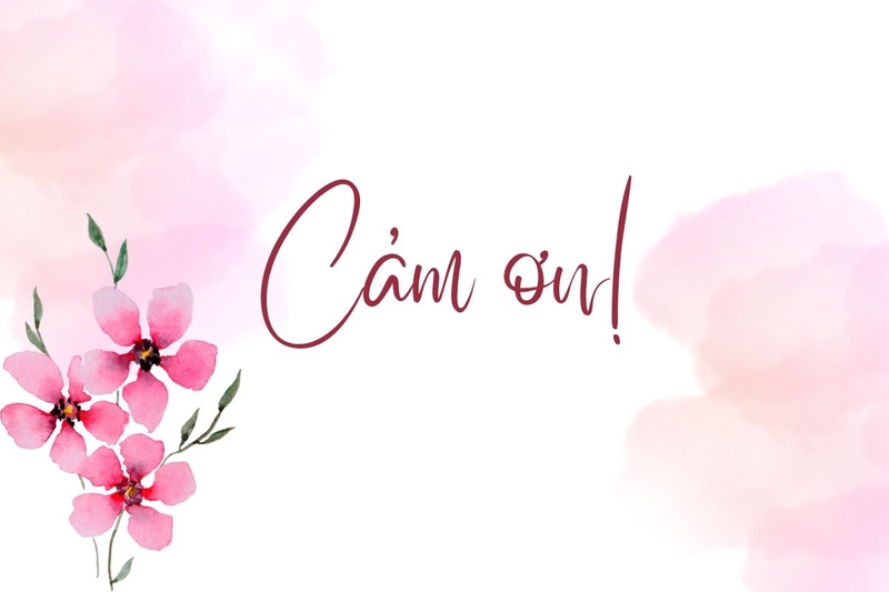 50 lời cảm ơn hay nhất ảnh 7