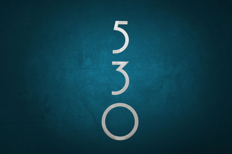 530 là gì (ảnh 1)
