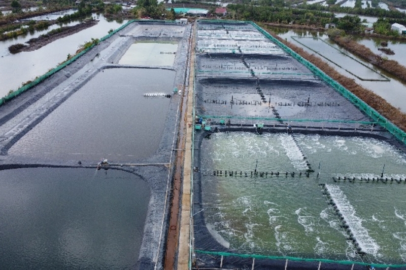 Phường Tân Thành của Cà Mau (5)