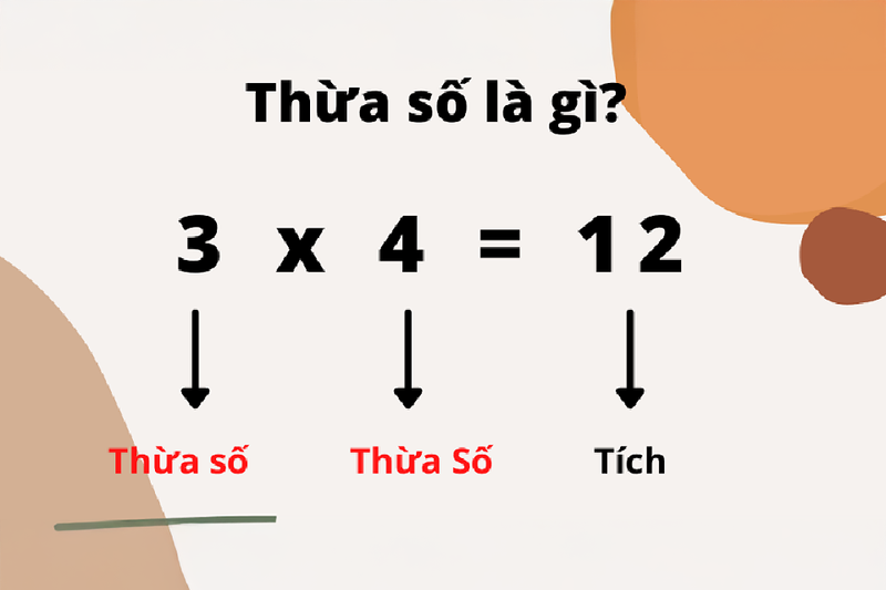 Thừa số là gì?