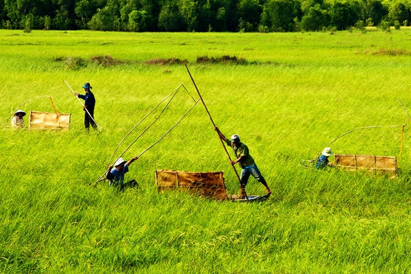 xã Phương Thịnh của Đồng Tháp (3)