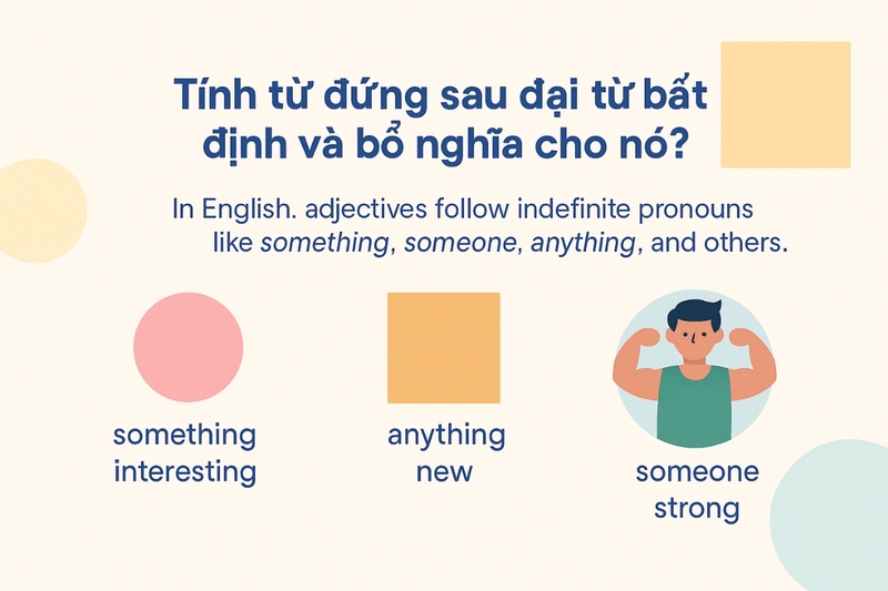 Tính từ đứng sau đại từ bất định và bổ nghĩa cho nó