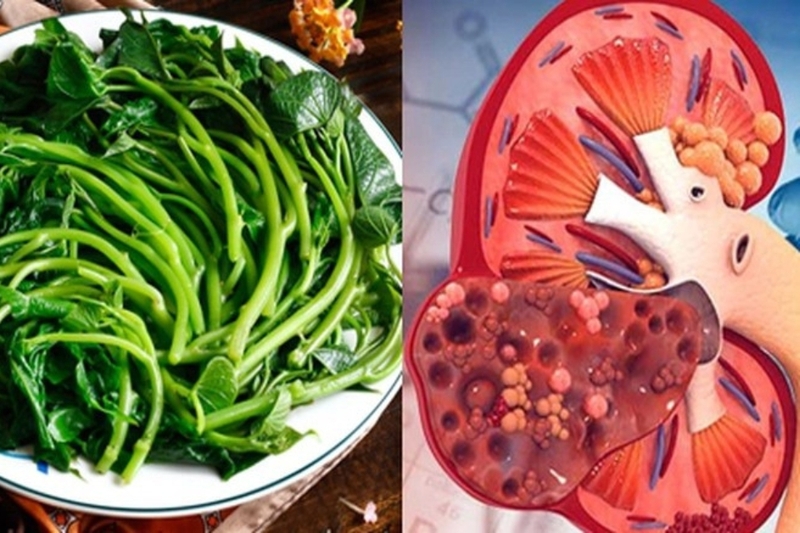 Những tác dụng tuyệt vời của rau lang đối với sức khỏe