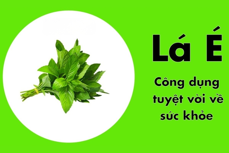 Lá é là lá gì (4)