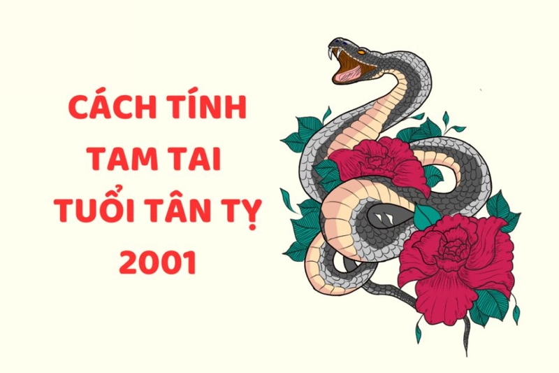 cách tính tam tai tuổi tân tỵ