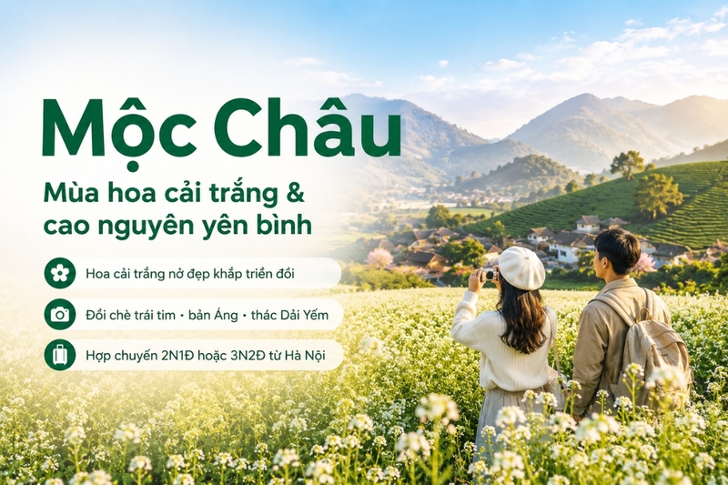 Mộc Châu: Mùa hoa cải trắng và cao nguyên yên bình