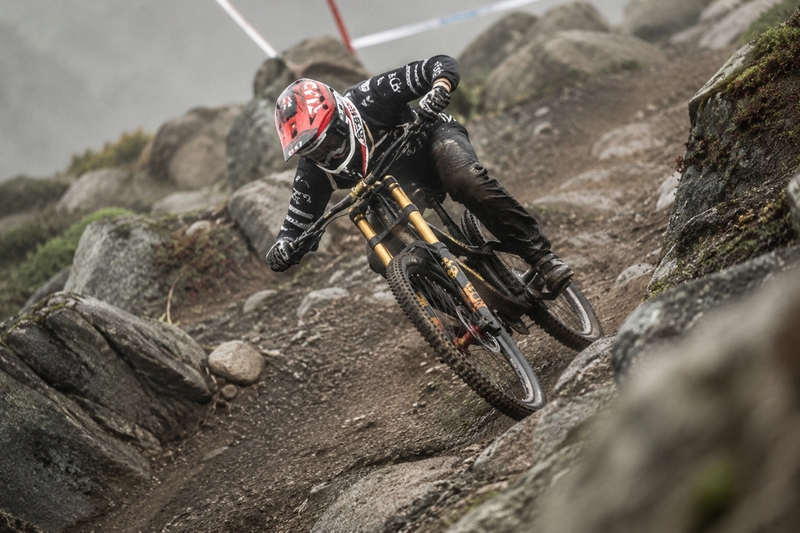 Downhill và Freeride