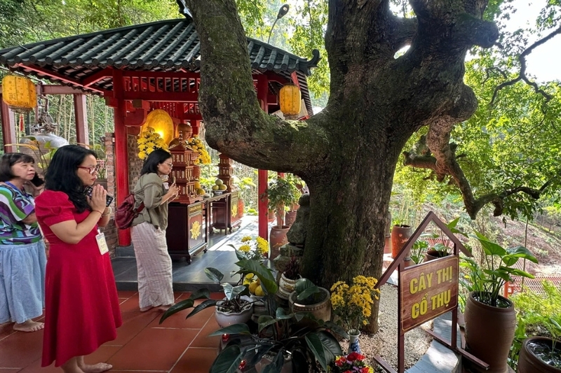 Chùa Cây Thị (4)