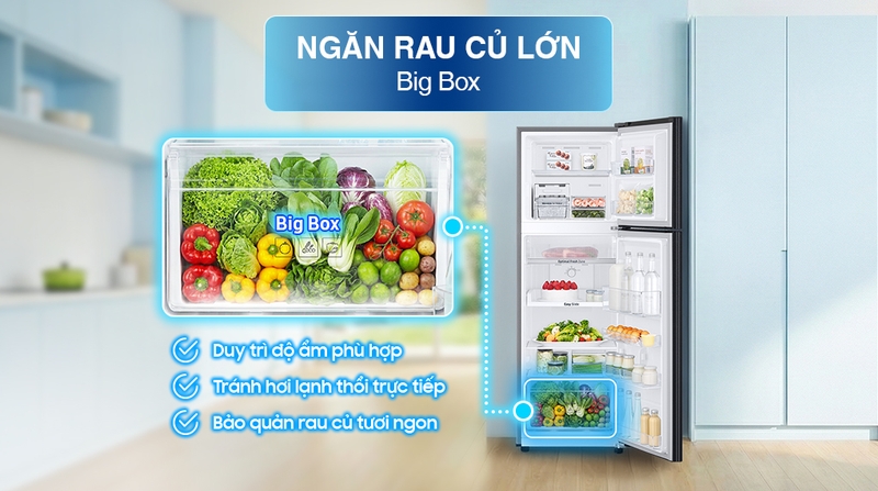 6-Ngăn rau củ lớn - Big box.jpg