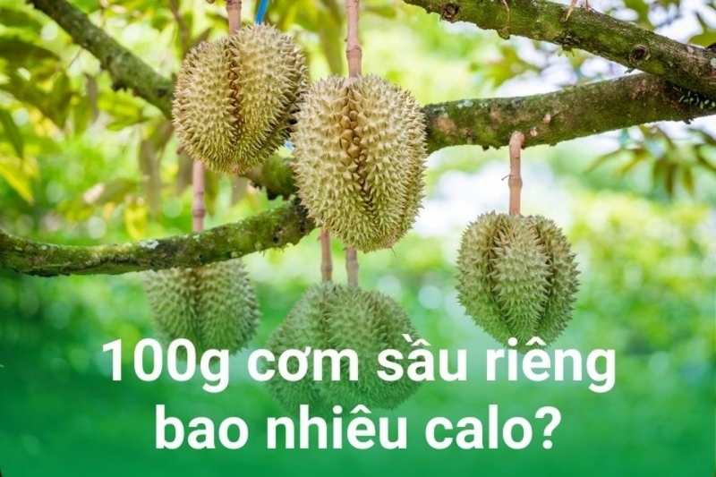 100g sầu riêng bao nhiêu calo?