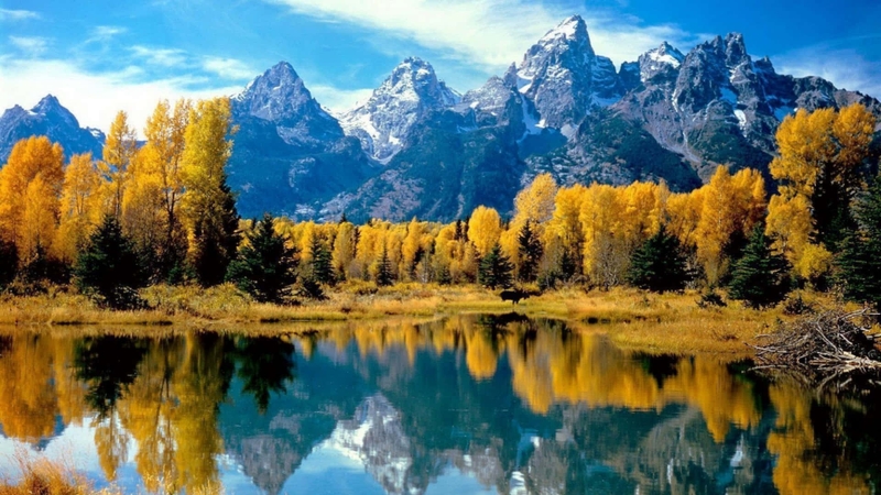 Hình ảnh có độ phân giải 1080p