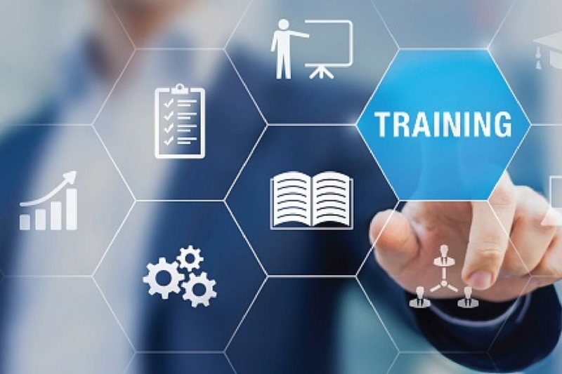 Career cushioning là gì? (9)