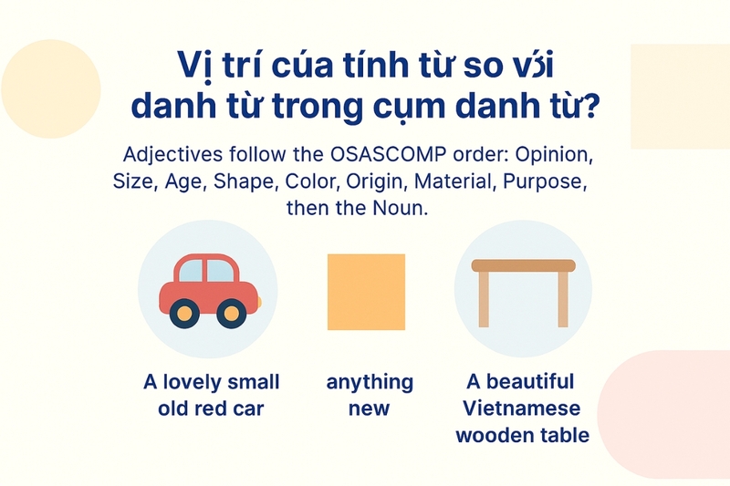 Vị trí của tính từ so với danh từ ở trong cụm danh từ