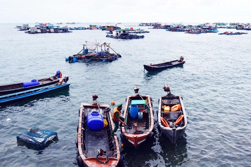 Thúc đẩy phát triển kinh tế - xã hội