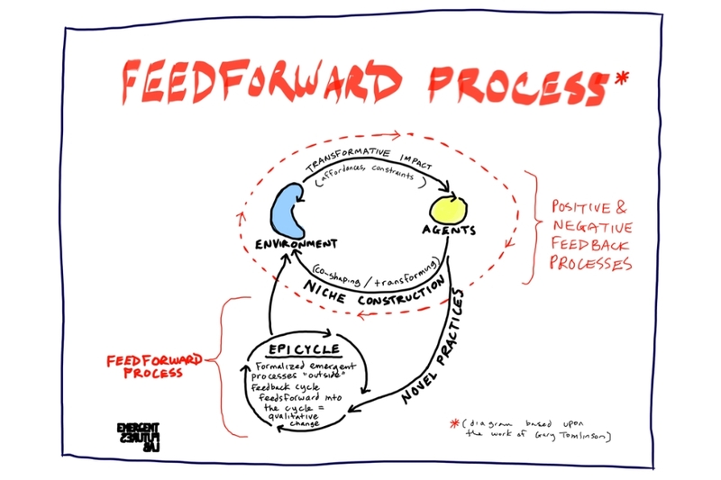 Sự ra đời của mô hình feedforward xuất phát từ quan sát sâu sắc về tâm lý con người