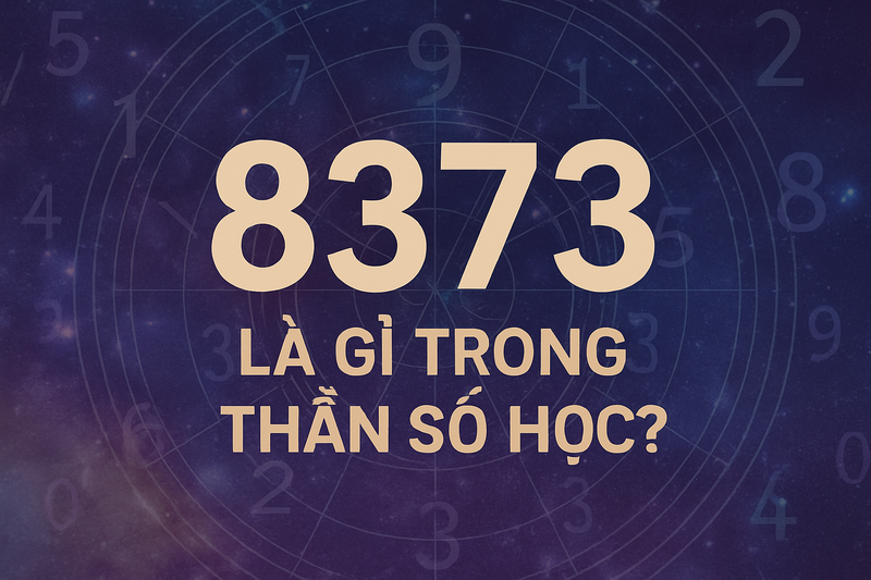 8373 là gì ảnh 1