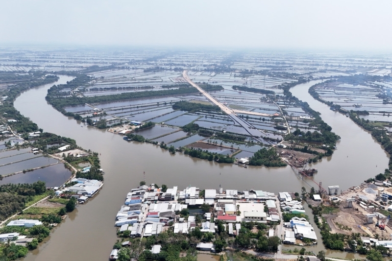 Đặc điểm của chi lưu